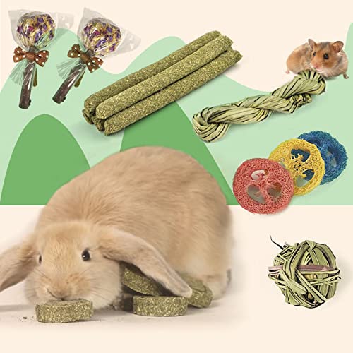Rabbit Chew Toys for Teeth, 16PCS Natural Timothy Hay Chew Toy, Improve Dental Health for Bunny/Chinchilla/Guinea Pig/Hamsters/Holland Lop, Small Rodent Pet Molar Teeth Treats Toys - size: 16 PCS