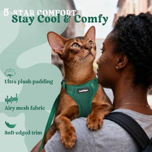 rabbitgoo Cat Harness and Leash, Easy-on with Neck Buckle, Dark Green | Escape Proof, No Over-the-head, Soft Air Mesh, 3 Lockable Adjusters & Buckles, Reflective, for Kittens & Small Cats Walks, Xs - color: Dark Green, size: Xs