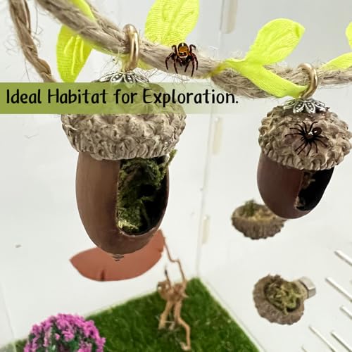 Jumping Spider Hide, Magnetic Climbing Rope Bridge, Handmade Real Acorn Hideaway Cave, Spider Platform, Decorative Accessory for Small Reptile Enclosures (Style 1) - style: Style 1