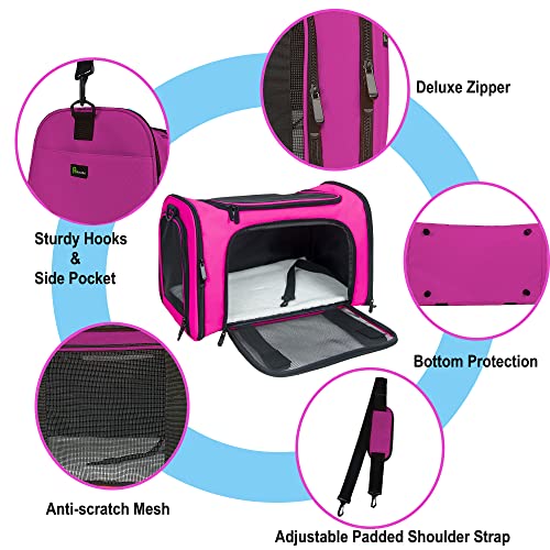 Soft Sided Carrier for Small Medium Cats Dogs,TSA Airline Approved Collapsible Travel Pet Carrier (Medium, Magenta) - color: Magenta, size: Medium