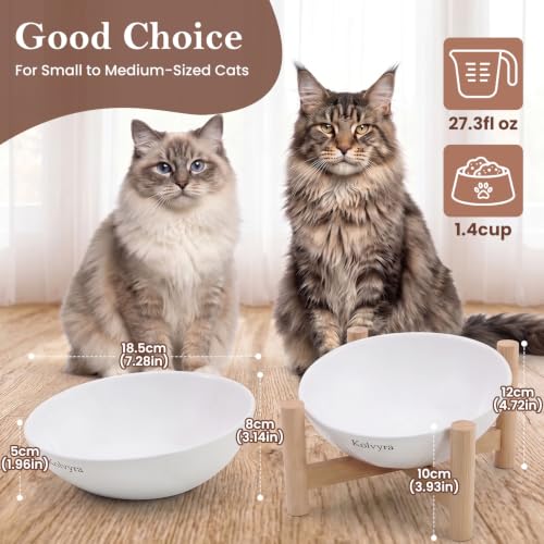 15° Slanted Rim Ceramic Cat Bowl, Anti-Spill for Small Cats,White | Food-safe Ceramic with Wooden Stand,Ergonomic Tilt Relieves Neck Strain,Anti-Vomiting,Prevents Whisker Fatigue - color: White