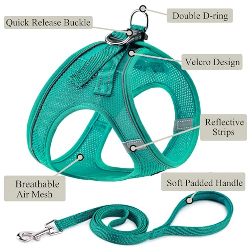 Dog Harness with Leash Set, Step-in Adjustable Puppy Vest, Forest Green XXS | Lightweight Breathable Air Mesh, Night Safety Reflective, No Pull Puppy Vest Harnesses for Small Medium Large Dogs, Cats - color: Forest Green, size: XXS(Chest:10"-12")
