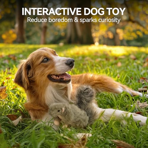 ALL FOR PAWS Squeaky Dog Toys, Plush Squirrel Dog Toy, Stuffed Animal Dog Toys for Small Medium Large Dogs, Soft Puppy Chew Toy with Squeaker - color: Squirrel(S)