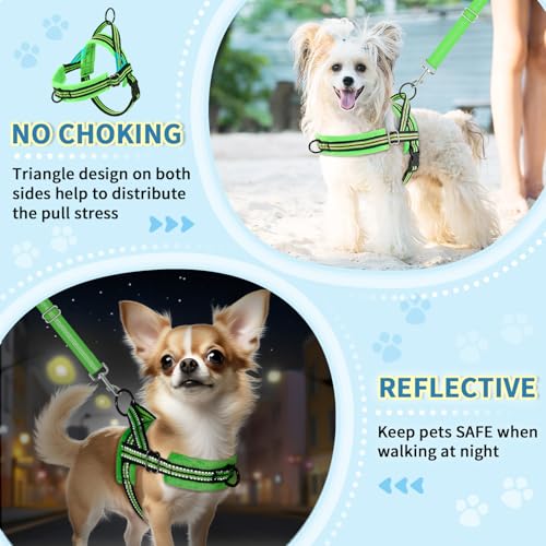 Lukovee Small Dog Harness and Leash Set, No Pull Soft Padded Vest | Both Neck & Chest Adjustable, Reflective, Puppy Harness with 4ft Lightweight Anti-Twist Dog Leash for Small Dogs (Green, S) - color: Green - with Stripe, size: S ( Chest 17.5'' ~ 22'')