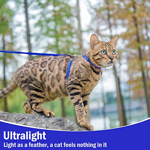 PUPTECK Adjustable Cat Harness and Leash Set Escape Proof Kitten Strap Collar for Walking Travel, Blue - color: Navy Blue, size: Small