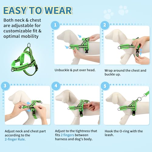 Lukovee Small Dog Harness and Leash Set, No Pull Soft Padded Vest | Both Neck & Chest Adjustable, Reflective, Puppy Harness with 4ft Lightweight Anti-Twist Dog Leash for Small Dogs (Green, XXS) - color: Green - with Stripe, size: XXS ( Chest 11.5'' ~ 15''