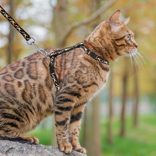 PUPTECK Adjustable Cat Harness and Leash Set Escape Proof Kitten Strap Collar for Walking Travel, Moon&Star - color: Black(Moon&Star), size: Small