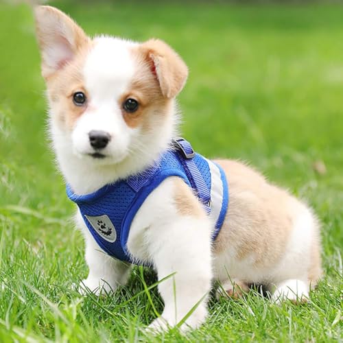 FEimaX Dog Harness and Leash Set for Walking, Soft Mesh Adjustable Easy Control Lightweight Cat Vest Harnesses with Reflective Strips, Escape Proof Small Dogs Cats Vests (Blue, Small) - color: Blue, size: Small