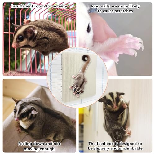 BNOSDM Sugar Glider Climbing Toys 2 Pack Nature Wood Rope Ladder Hanging Bridge Cage Accessories and 6 Piece Sugar Glider Toys Climbing Mats Cage Accessories Scratching Claws Sharpening Pads