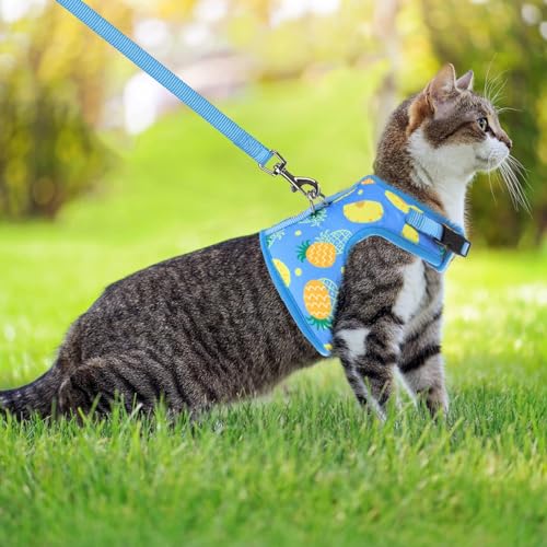 PUPTECK Soft Mesh Cat Vest Harness and Leash Set Puppy Padded Pet Harnesses Escape Proof for Cats Small Dogs Rabbits Bunny - color: Blue(Pineapple), size: M(NECK 7", CHEST 10.5", 4-6 lbs)
