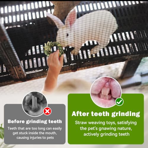 6PCS Timothy Hay Toy for Rabbits Bunny Chew Toys for Teeth Timothy Hay Rings for Small Animals Guinea Pigs Chinchillas Hamsters Bunnies Digestion Care
