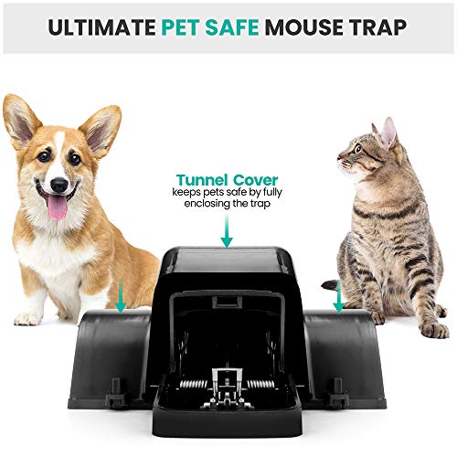 eXuby Pet-Safe & Child-Safe Rat Traps w/Tunnel Design – Dual Entry for Better Capture Rate - No Harmful Poison - Prevents Accidental Triggering - Avoid Finger Snapping - Setup in Seconds. (2 Pack) - style: 2 Pack