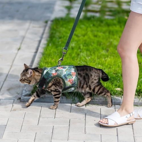 BINGPET Cat Harness and Leash Set, Escape Proof and Adjustable, Large | Step-in Vest, Lightweight Soft Breathable Mesh, Hook & Loop, Easy Control for Medium & Large Cats Walking Travel - color: Green leaves, size: Large