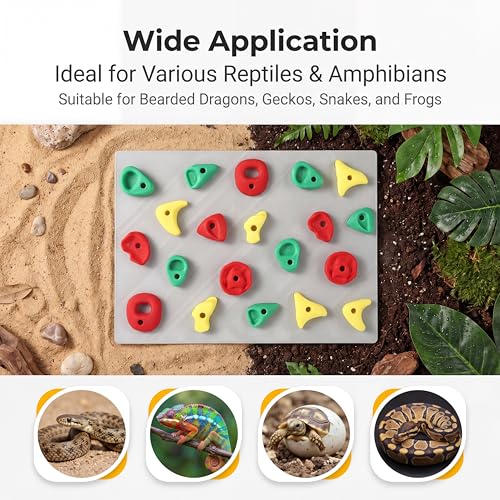 2-Pack Climbing Wall for Reptiles, Terrarium Habitat Decor | 2PCS Climbing Wall for Reptiles for bearded dragons, leopard geckos, habitat decor & enrichment