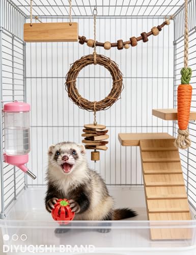 10-Pack Ferret Bell Ball Toys, Non-Toxic PP, Easy Clean | Smooth Polished Edges, Water-Resistant, Safe for Ferret Mouths/Paws - size: 1.5'' - 2.2''