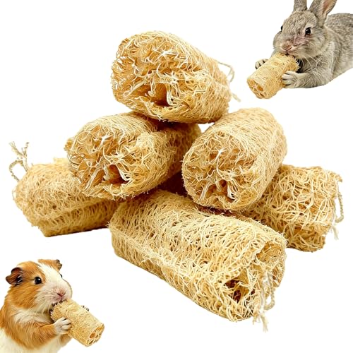 6Pcs Rabbit Chew Toys Loofah Guinea Pig Treats Bunny Enrichment Toys | Natural,with Rope,for Chinchillas Guinea Pig,Rabbit Toys for Bunnies Boredom,rabbit chew toys for teeth,bunny chew toys - size: 6PCS With a Rope