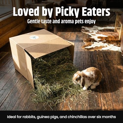 High Desert Orchard Grass Hay for Rabbits, Guinea Pigs, Chinchillas, 4 lb | Soft Leaf Low Protein Forage, Ideal For Adult Or Overweight Pets, Great Alfalfa Alternative, Hand Packed in the USA, Low Dust