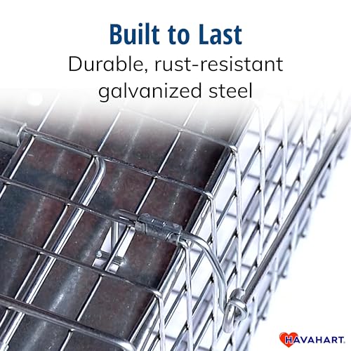 Havahart Medium 1-Door Live Animal Trap, Galvanized Steel Cage | Humane Catch and Release for Rabbit, Skunk, Mink, and Squirrel, Spring-Loaded Door, 1078SR