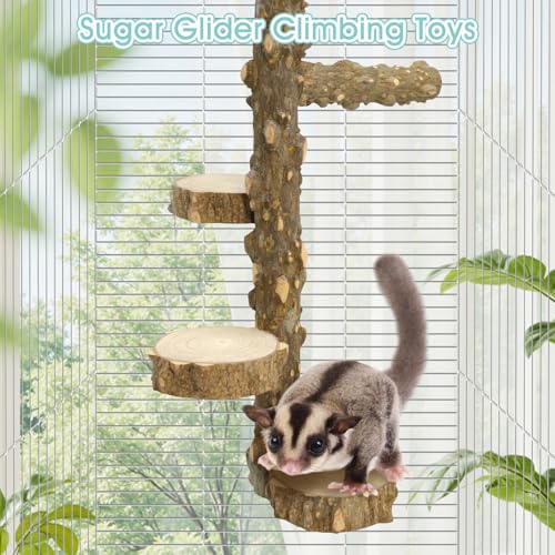 BNOSDM 4-Tier Chinchilla Climbing Toys, Chinchilla Ledges & Platforms with Side Perch, Natural Prickly Ash Wood Paw Grinding Stand for Cage, Ideal for Sugar Glider, Squirrel, Rat, Gerbil - color: Prickly Ash Wood - Climbing Platform