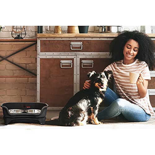 Neater Feeder Express Mess Proof Dog Bowls Elevated for Small Breeds Under 15 Lb, Made in USA, No Spill Raised Dog Food Bowl Stand, Stainless Steel Food and Water Bowl Set, Feeding Station, Black - color: Midnight Black, size: Small w/ Standard Bowls
