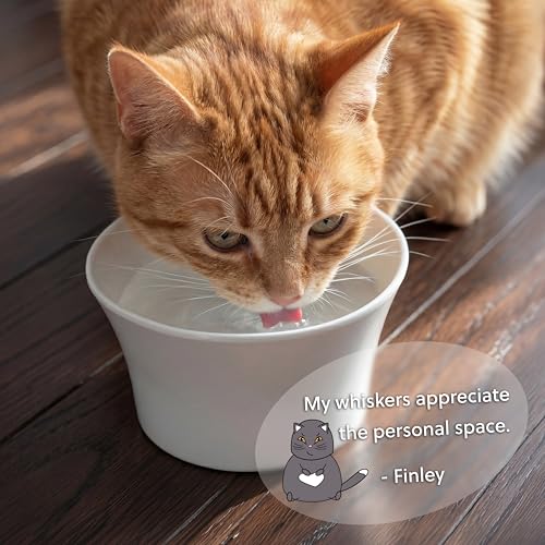 Elevated Cat Bowls for Water – Whisker & Neck Fatigue Shallow Cat Dishes – Raised Bowl for Indoor Cats – Vet-Recommended Height, Modern Pedestal Design – Non-Slip & Dishwasher-Safe – 8 oz Powder Blue - color: Powder Blue