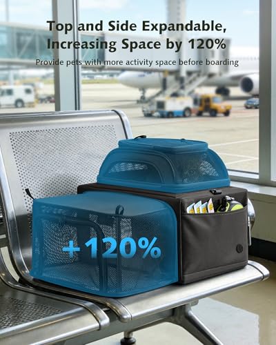 Pecute Top Expandable Airline Approved Pet Carrier for Cats, Dark Gray | Top side expandable, breathable scratch-resistant mesh, leakproof pee pad, locking zippers, foldable travel bag under 11lbs - color: Dark Gray