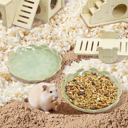 BNOSDM Shallow Ceramic Hamster Food Dish 2 Pcs Small Animals Food Bowl Sunflower Feeding Dishes for Gerbils Mice Rats 4.5in (Green) - color: Green Sunflower