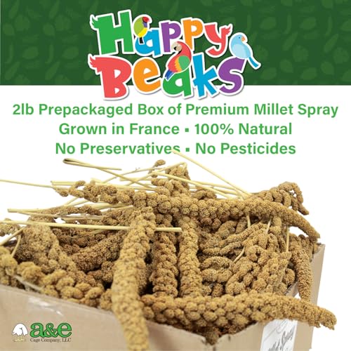 A&E Cage Co Premium French Millet Spray Bird Treat, 2 lb Bulk Bag | Grown in France, No Artificial Preservatives, Fiber & Mineral Rich, For Breeders & Multi-Bird Households - size: 2lbs