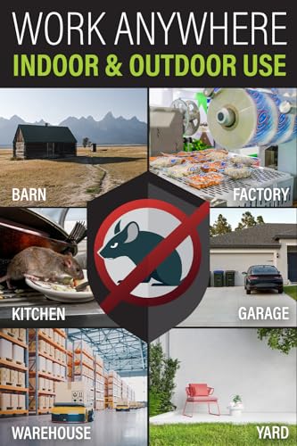 Rat Trap Six Pack - Powerful Reusable Traps for a Quick Kill Indoor or Out | Easy-Bait, Easy-Set Traps Catch Rats, Mice, Voles and Chipmunks Quickly Without Poison or Electricity - size: 6 Pack Rat Traps