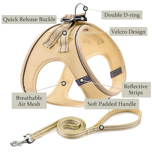 Dog Harness with Leash Set, Step-in Adjustable Puppy Pet Vest, Beige XXS | Lightweight Breathable Air Mesh, Night Safety Reflective, No Pull Puppy Vest Harnesses for Small Medium Large Dogs, Cats - color: Beige, size: XXS(Chest:10"-12")
