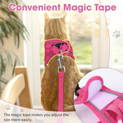 Cat Vest Harness and Leash Set, Escape Proof Kitten Harness Pink XS | Safe Reflective Strips, Adjustable Easy Wear Kitty Harness, Sturdy Clip Buckle, Breathable Mesh , for Kitty Puppy Bunny Walks - color: Pink, size: XS