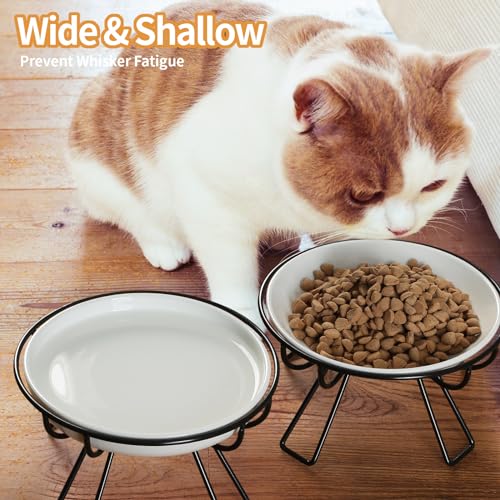 Presents The Ultimate Cat Dining Set: 5.9 inch Ceramic Water Bowl and Whisker-Friendly and Anti-Vomiting Plates.Elevated Bowl, Raised Ceramic Dish with Metal Stand - color: Food Bowl+Water Bowl
