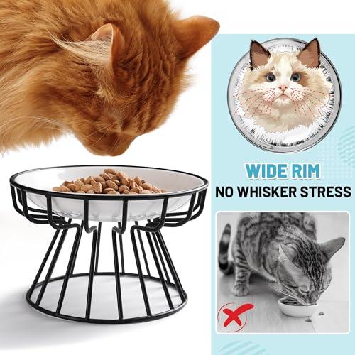 Cat Bowls, Elevated Cat Bowl, Raised Ceramic Dish with Metal Stand, Pet Water or Food Feeding Station for Indoor Cats, Kitten, Puppies and Small Dogs, Dishwasher Safe - color: Raised Cat Bowl