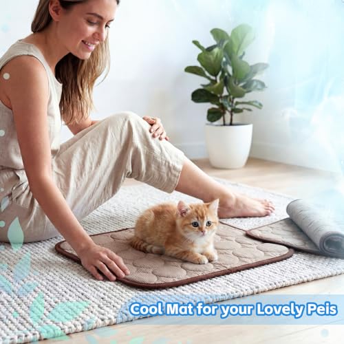 Jetec 3 Pcs Bunny Guinea Pig Cooling Mat Rabbit Cool Pad Pet Cooling Bed Small Animal Sleeping Pads for Indoor Hamster Squirrel Hedgehog Chinchilla(Brown) - color: Brown, size: Ice Silk, style: Summer