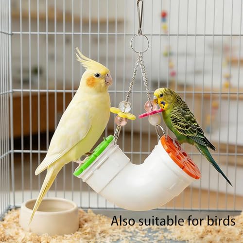 Rat Enrichment Toy, Mouse Interactive Foraging Toys for Various Treats | Slow Feeder Hanging Fancy Mice Cage Accessories Tube Treat Dispenser Rodent Puzzle Toys for Rats Guinea Pig Parakeet