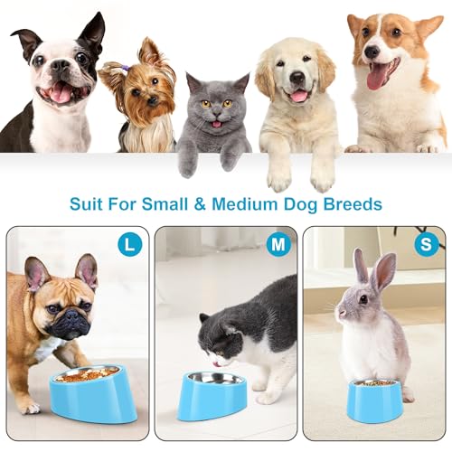 Tilted Dog Bowl Non-Slip & Non-Spill Pet Feeder with Elevated Detachable Melamine Stand, Easy to Get Food Dog Dish, S/100ml Sky Blue - color: Sky Blue, size: Small(100ml)