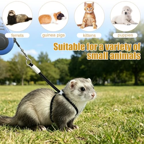 Penitue 3pcs Escape Proof Small Pet Harness and Leash Set, 10ft/3m Retractable with 2 Adjustable Rope Vest Harnesses for Kittens Ferrets Rabbits Bunny Guinea Pigs & Small Rat