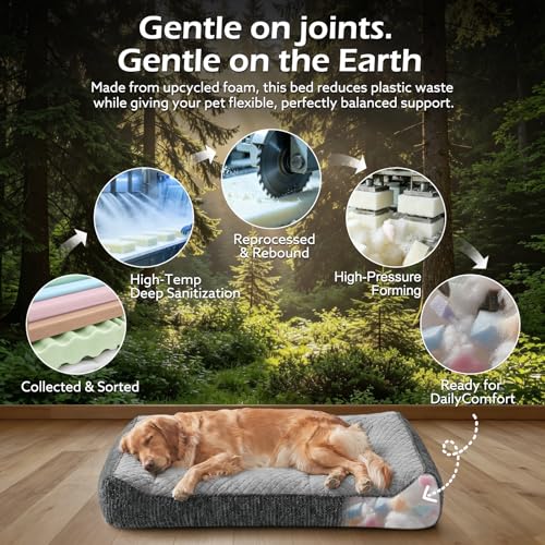 JOEJOY XL Orthopedic Dog Bed for Large Dogs Up to 80lbs - Extra Thick Foam Pet Bed Sofa with Bolster Sides, Large Sized Dog Bed with Removable Washable Cover, Non-Slip Bottom, Light Grey (42"x30") - color: Light Grey, size: XL(42"L x 30"W x 8.5"Th)