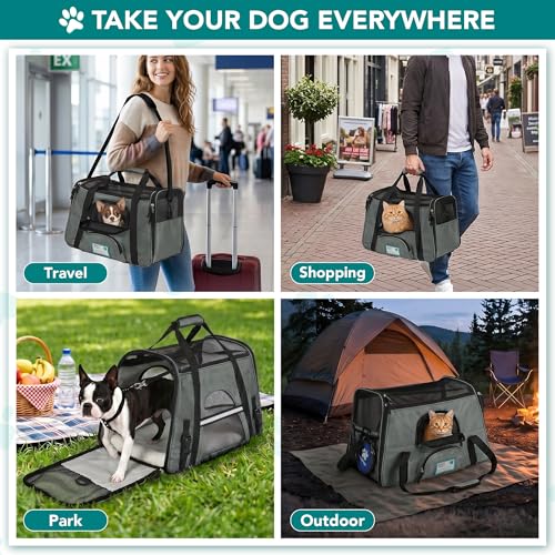 PetAmi Airline Approved Pet Carrier for Cats & Small Dogs, Small, Dark Gray | Soft Sided TSA Travel Bag, Sherpa Bed, Breathable Mesh Ventilation, Collapsible Bowl, Fits Under Seat, Up to 18 lbs - color: Dark Gray, size: Small - 17"L x 10.2"W x 11.2"H