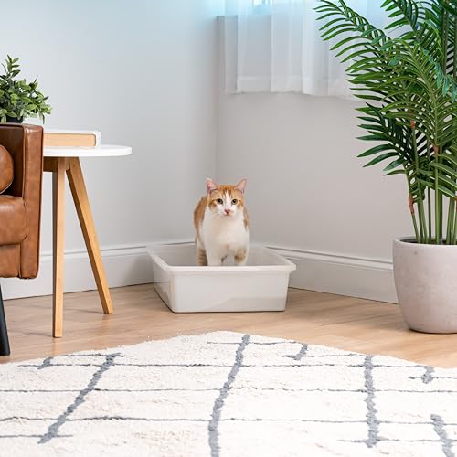 IRIS USA Large Cat Litter Box, Pearl | Training Cats, Quick Access Design, Visible Level Check, Simple Pan Style, Fastest Cleaning, Maximum Airflow