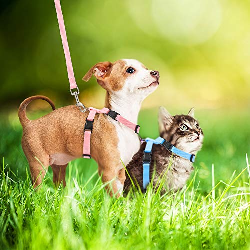 Outus 5 Pieces Adjustable Rabbit Harness and Leash Set Escape Proof Bunny Harness Vest for Pet Running Walk Jogging Bunny Cat Puppy Kitten Ferret and Other Small Pet(Fresh Color) - color: Fresh Color