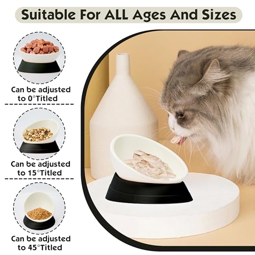 French Bulldog Food Bowl- Slanted Tilted Pug Food Water Bowl,Cat Bowl- Feeder for Frenchie/Shih Tzu/Flat Faced Small Dogs/Puppies/Cats (Black, 2 Cup) - color: Black, size: 2 Cup