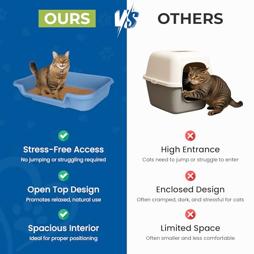 KittyGohere Senior Cat Litter Box Large with Scoop, 2 Pack Blue | Open Top Low Entrance Kitty Litter Box With Long-handle Jumbo Scoop, Lightweight Low Entry Litters Box, Durable, Made in USA - color: Little Boy Blue, size: Large(2 Pack) with Scoop