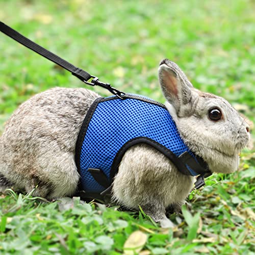 PETTOM Bunny Rabbit Harness with Stretchy Leash Cute Adjustable Buckle Breathable Mesh Vest for Kitten Small Pets Walking (Blue,XS) - color: Blue, size: XS(Chest:7.87-10.6 in)