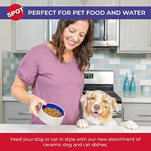 SPOT by Ethical Products – Ceramic Stoneware Pet Bowl for Cats and Small Dogs,Classic Heavy Duty Non Slip Ceramic Cat Dish Dog Bowls for Food and Water - size: 5"