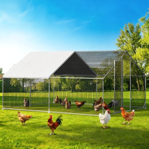 Large Walk-in Chicken Coop with Chicken Run, Galvanized Poultry Enclosure with Waterproof Anti-UV Cover and Security Lock, Ideal for Rabbit, Duck, Backyard and Farm Yard，13.1'x 9.8'x 6.6' - size: 157.7"L x 117.6"W x 78.7"H