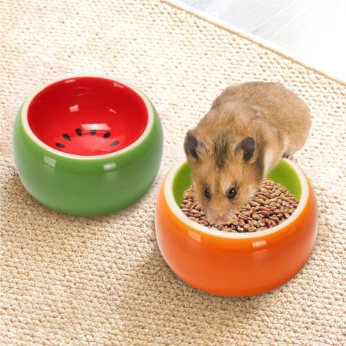 Hamiledyi 2PCS Hamster Bowl Ceramic Food Water Feeding Dish for Dwarf Syrian Hamsters Gerbils Rats Mice Sugar Glider