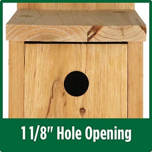 Nature's Way Cedar Box Wren House with Clean-Out Door, Wild Bird House and Outdoor Décor, Brown (Pack of 4) - size: Wren Box House (Pack of 4)