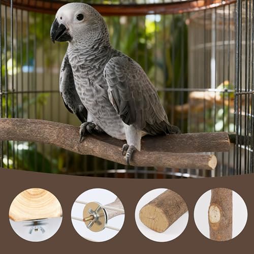 6 PCS Bird Perch Set | Natural Birch Wood, Straight & Forked Perches with Platforms, For Parakeets, Cockatiels, Conures, Lovebirds, Cage Accessories