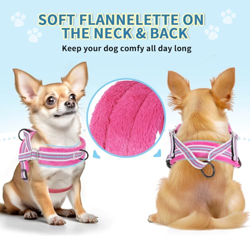 Lukovee Small Dog Harness and Leash Set, No Pull Soft Padded Vest | Both Neck & Chest Adjustable, Reflective, Puppy Harness with 4ft Lightweight Anti-Twist Dog Leash for Small Dogs (Fu,XXS) - color: Fuchsia - with Stripe, size: XXS ( Chest 11.5'' ~ 15'')